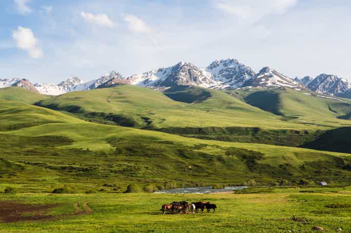 Национальный парк Ала-Арча и обзорная экскурсия по Бишкеку