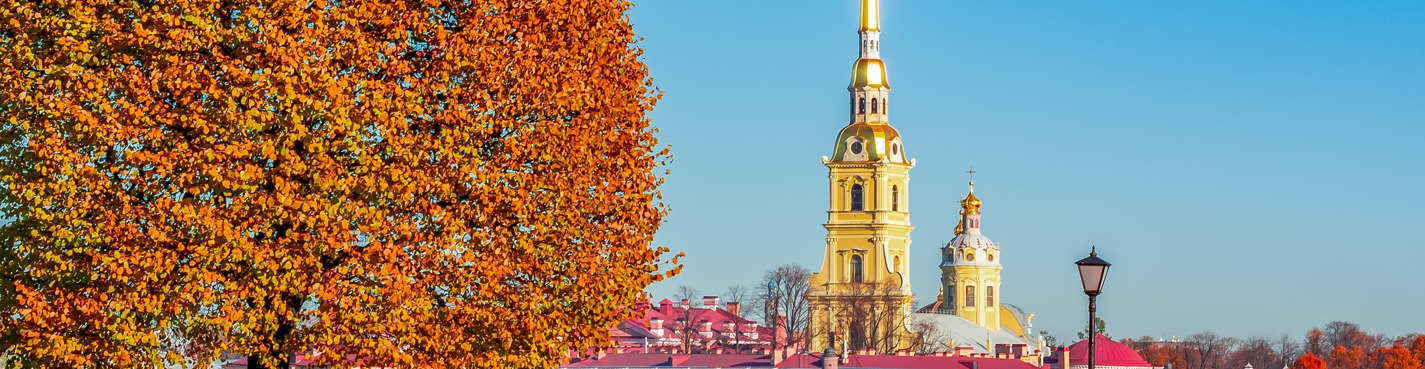Петроградка: уютная и живая