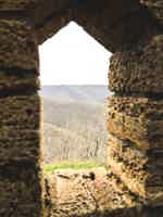 Экскурсия "Джип-тур по Маркотхскому заповеднику к Грозовым воротам" - фото отзыва 5