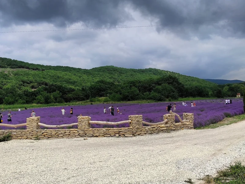 Винный калейдоскоп: Тристория, Sikory, FERVINO, Семигорье — фото 5, Анапа | Покатаем