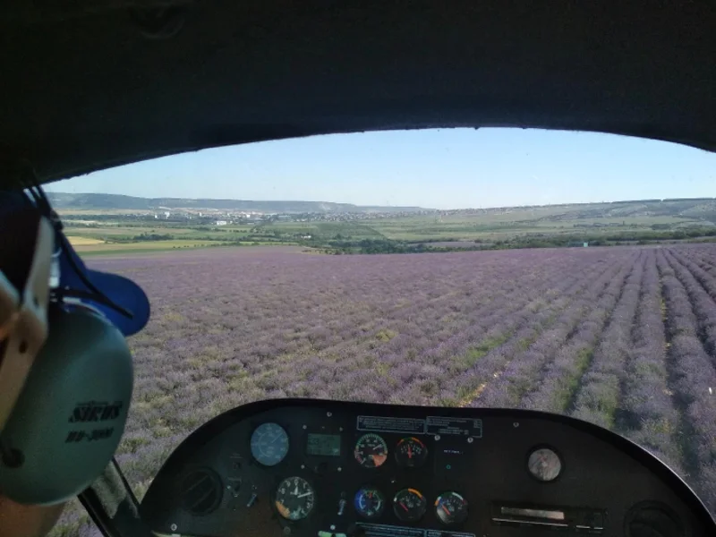 Горная лаванда в Крыму — фото 5, Бахчисарай | Покатаем