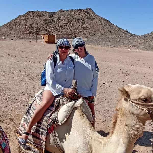 Индивидуальная поездка-сафари по пустыне на 3 часа - фото 3