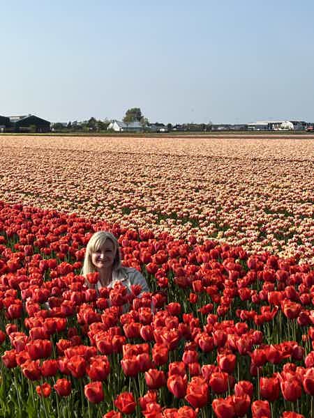 Из Амстердама в парк тюльпанов Кекенкоф - фото 12