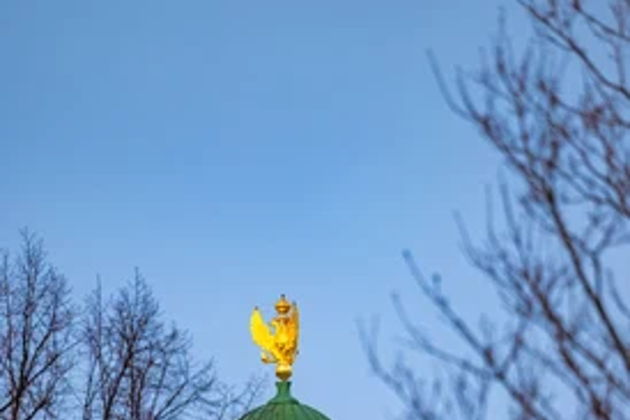 Виды Прогулка по Петербургу с Николаем I