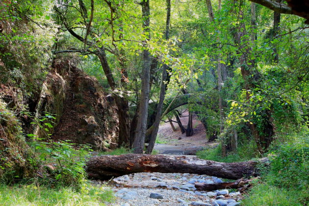 Живописный тур в горы Троодос с дегустацией вина из Пафоса