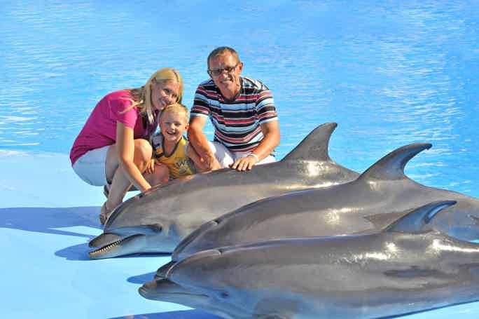 Фотосессия с дельфинами в бассейне