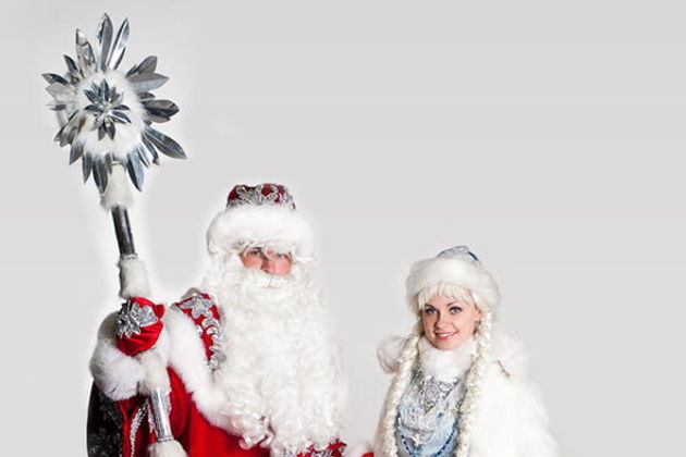 Виды Праздник детям - Дед Мороз и Снегурочка у Вас дома! 