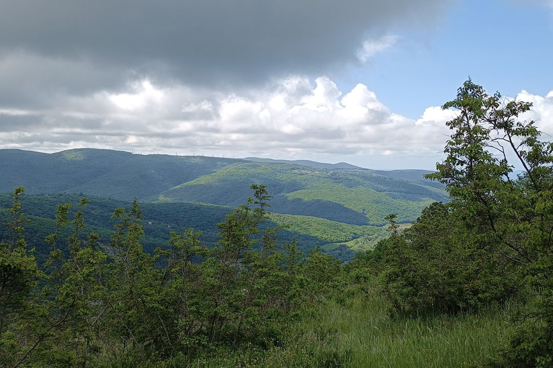 Мегалиты, спрятанные на горе Нексис в Геленджике — фото 2