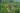 Из Нячанга в Далат: живописное приключение и отдых с развлечениями