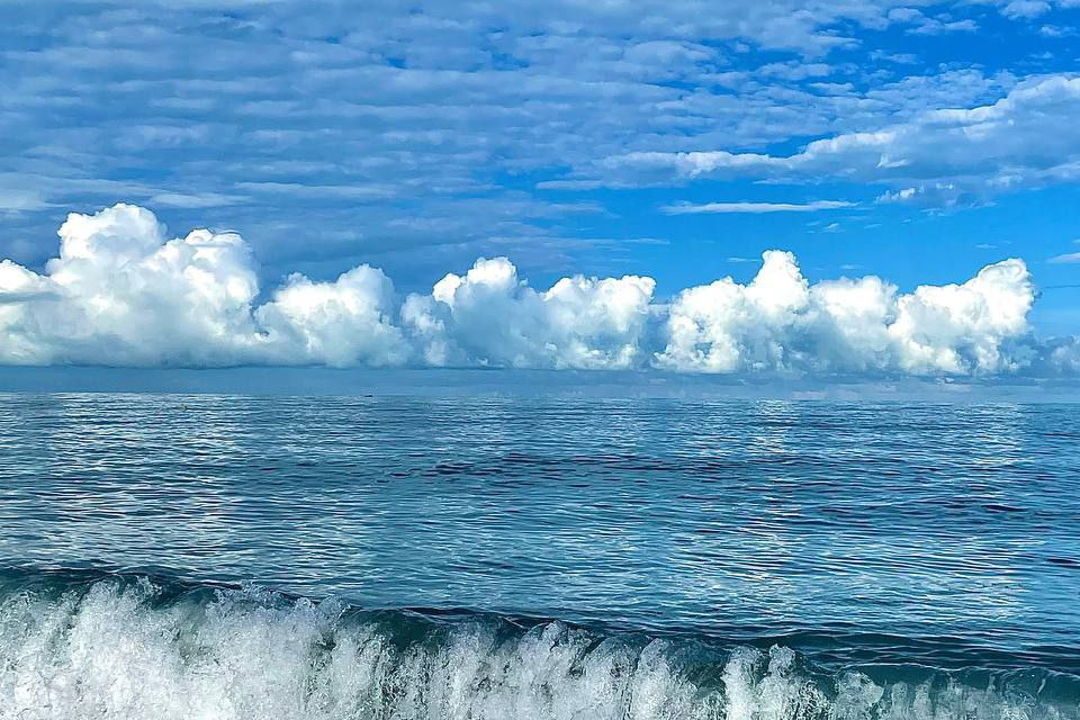 Авторский джип-тур «Красавица Рица, Гегский и Молочный водопады» — фото 1