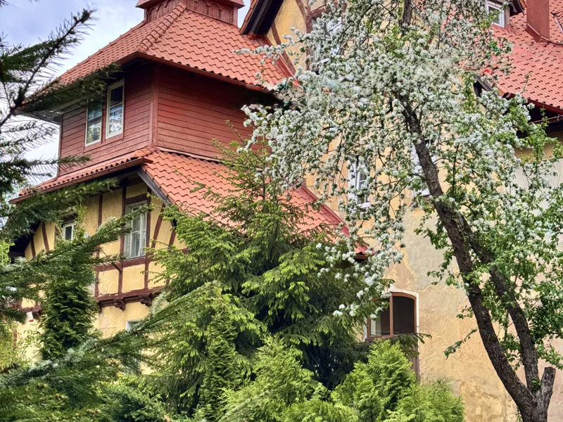 Тайны Амалиенау: частная жизнь за фасадами — фото 2, Калининград | Покатаем