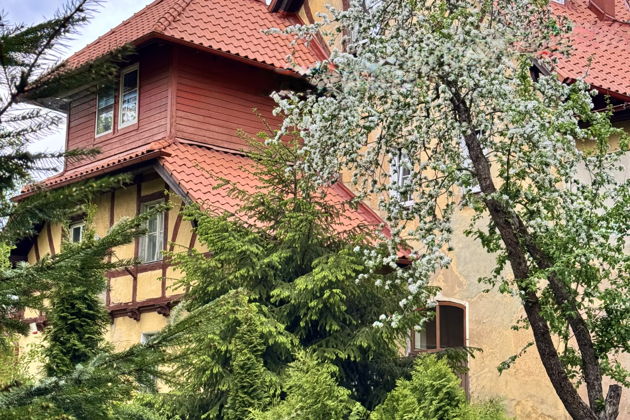 Главное изображение экскурсии - За фасадами Амалиенау: частная жизнь старого Кёнигсберга