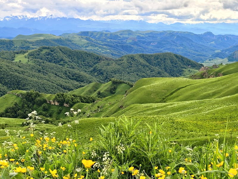 Великолепный Домбай из Пятигорска