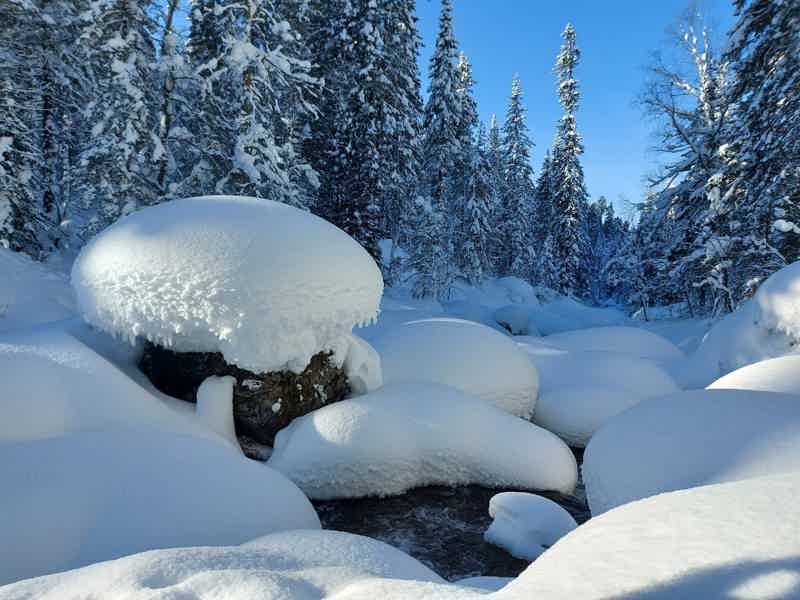 Зимняя сказка урочища реки Большой Мамай - фото 1
