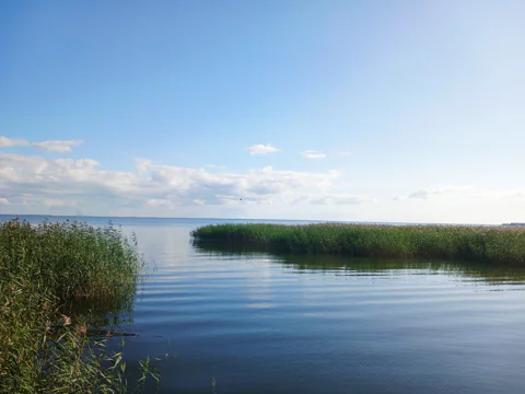 От Куршской косы до курортов: Зеленоградск, Светлогорск и Янтарный