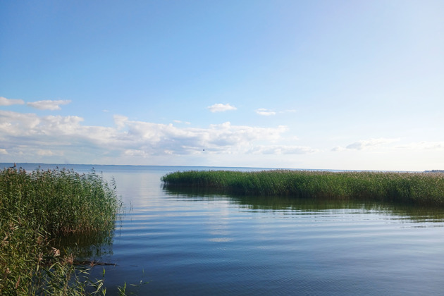 От Куршской косы до курортов: Зеленоградск, Светлогорск и Янтарный