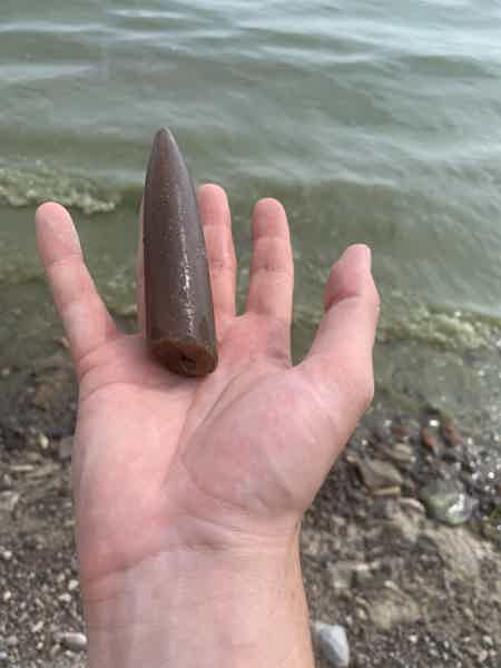 Целебная вода Ундор и динозавры Ульяновска - фото 5