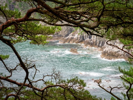 Бухта Витязь