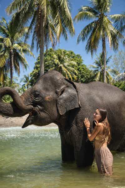 Аватар: Гигантские кувшинки. Самет Нангше. Слоны. Плоты. Квадроциклы. Закат - фото 3