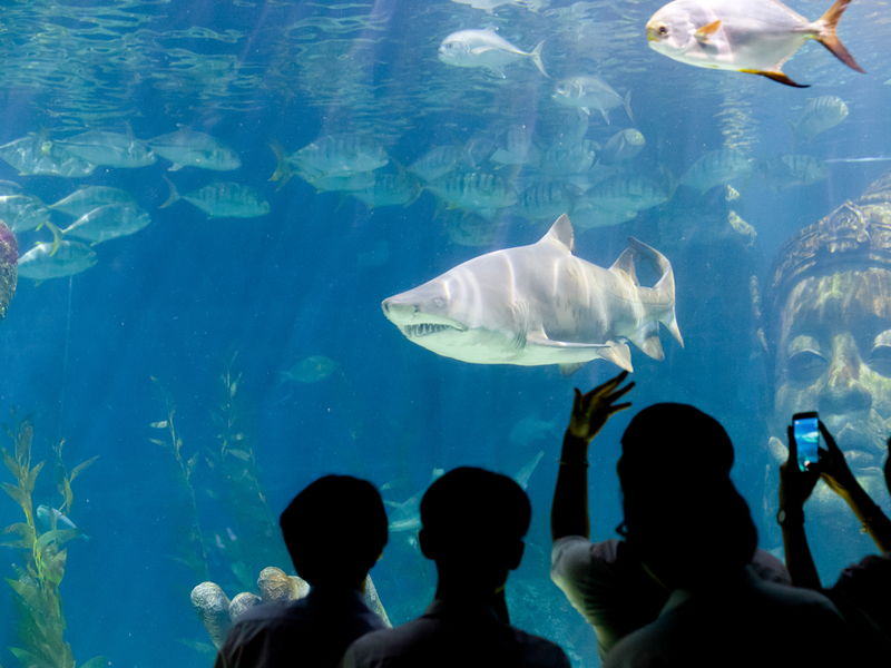 Соло-travel для женщин: безопасные маршруты для Азии