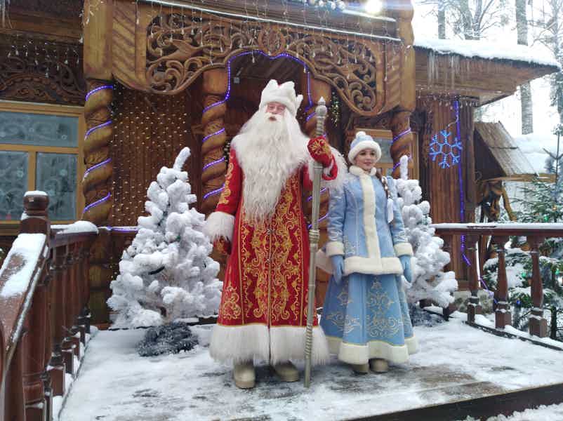 Новый год в Беловежской пуще - фото 2