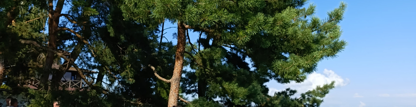 Куршская коса — удивительный уголок живой природы