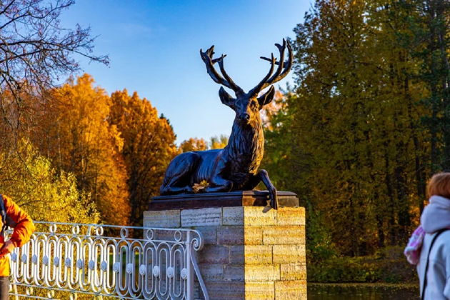 Фото к экскурсии Махнем, пожалуй, в Павловск: экскурсия по Павловскому парку