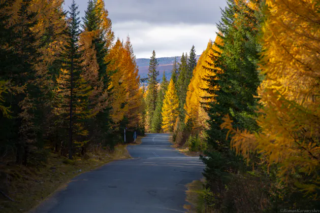 Золотая осень на Алтае — фото 2