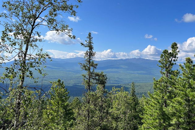 Виды Джип-тур «Подкова Урала»: экстрим лесного бездорожья
