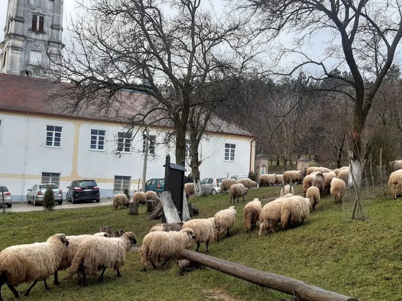 Фрушка Гора: паломничество к святыням — фото 3, Белград | Покатаем