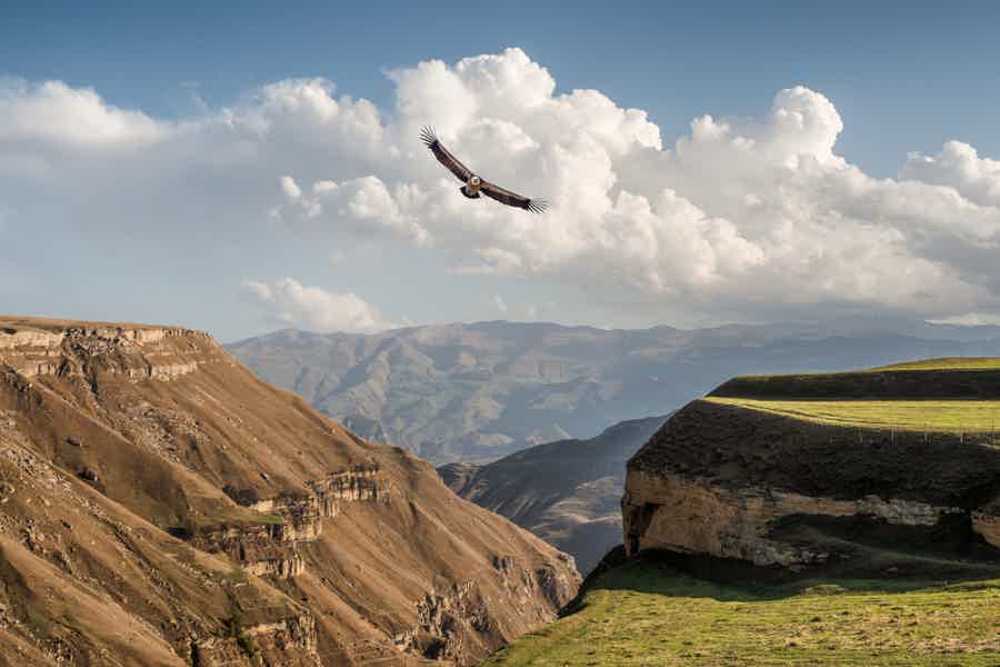В горы с местным жителем: горный Дагестан «Хунзах» - фото 6