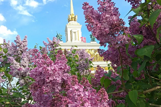 ВДНХ — город счастья. Триумф, величие, архитектура