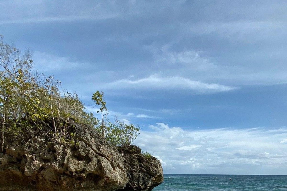 Рисовые террасы