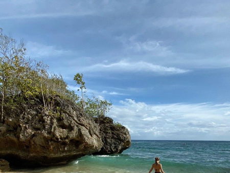 Рисовые террасы