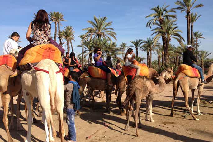 Марракеш: Поездка на верблюде по пальмовой роще с перерывом на чай