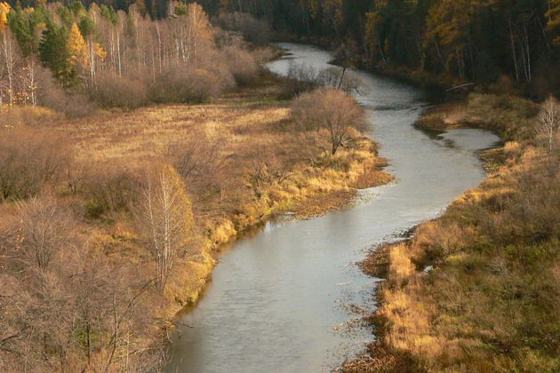 Виды Путешествие в природный парк «Оленьи ручьи»
