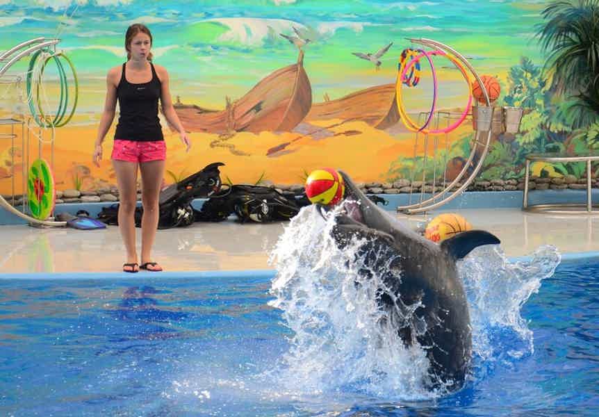 Экскурсия в большой Сочинский дельфинарий! - фото 4