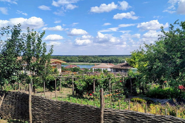 Виды Хутор Старозолотовский  с посещением поля хризантем