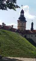 Экскурсия "Экскурсия в Несвижский дворец и Мирский замок" - фото отзыва 3