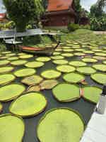 Экскурсия "На рассвете: путь к Аватару" - фото отзыва 4