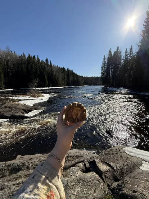 Карельские водопады: тур из Сортавала
