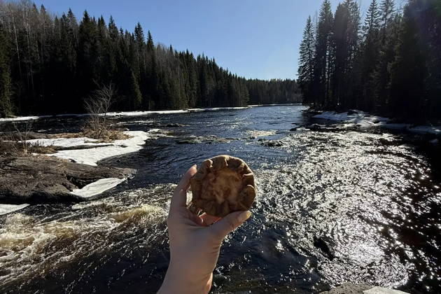 Карельские водопады: тур из Сортавала