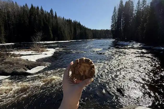 Карельские водопады: тур из Сортавала