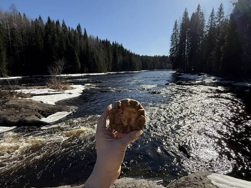 Карельские водопады: тур из Сортавала