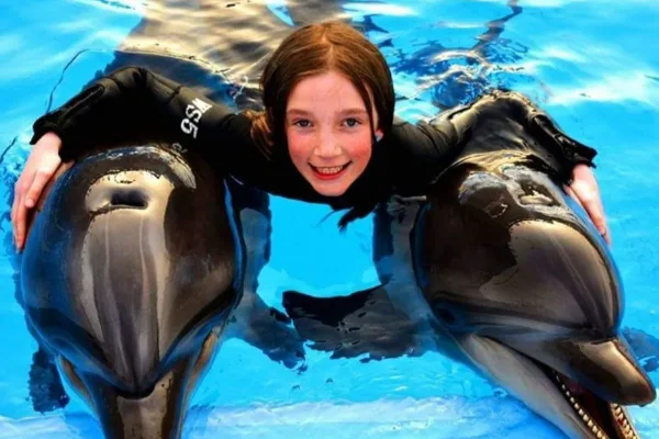 Swim with dolphin in pool 5 min — photo 2, Hurghada | Pokataem