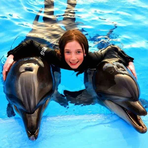 Плавание с дельфинами в бассейне 5 минут - фото 4
