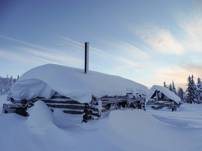 Снежное сафари в Карелии - фото 3