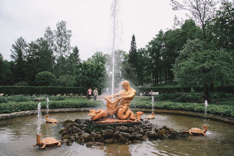 Нижний парк Петергофа на электрокаре - фото 3