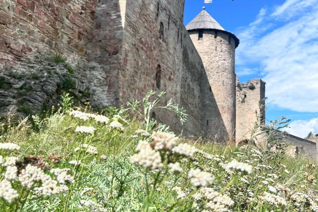 Экскурсия в Ивангород — Кингисепп — Копорье