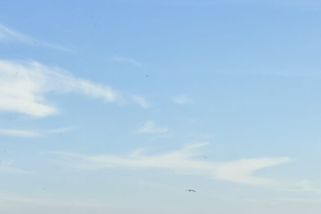 Виды Прогулка на яхте по Босфору с персональным гидом